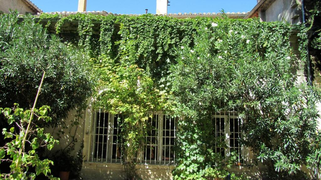 Maison D'Hotes La Boca Sommières Pokój zdjęcie